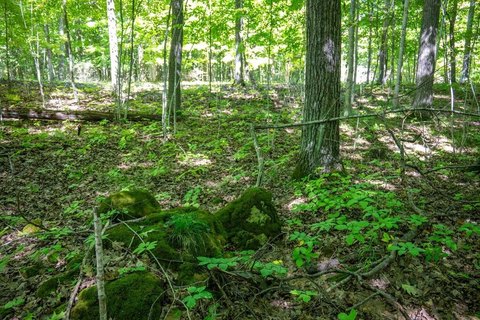 Inland-Land, Egg Harbor, WI