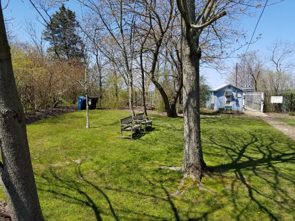 Picture 13