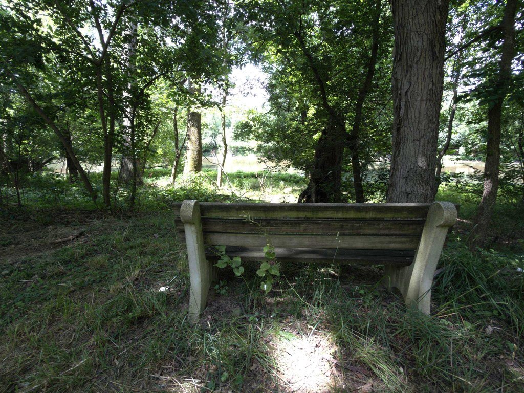 Picture 19