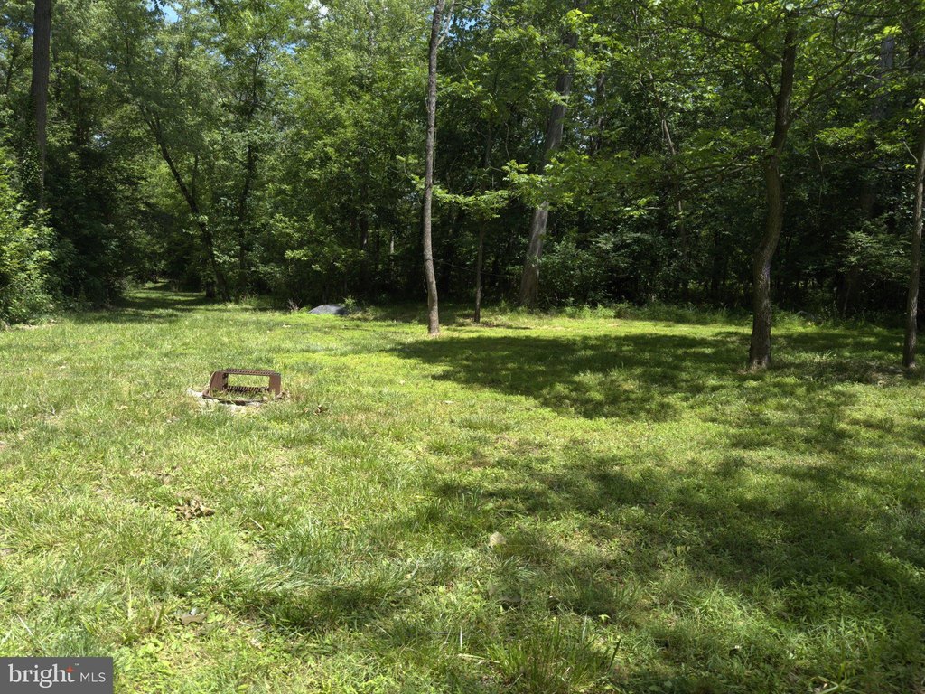 Picture 26