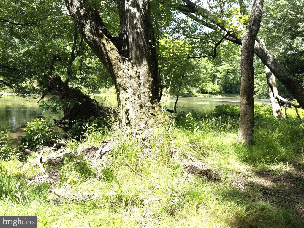 Picture 24