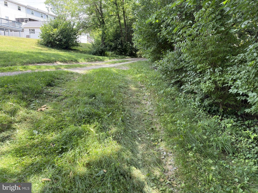 Picture 16