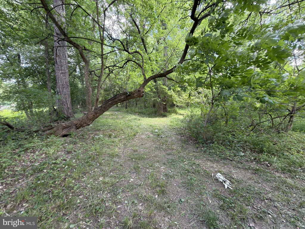 Picture 15
