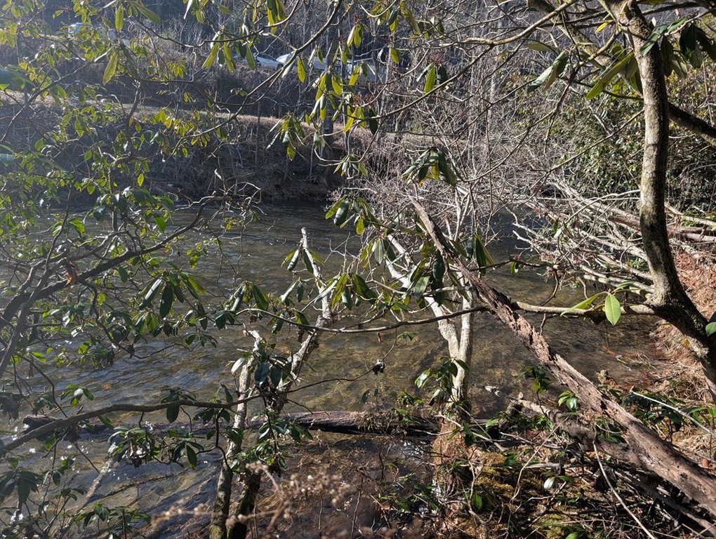 Picture 18