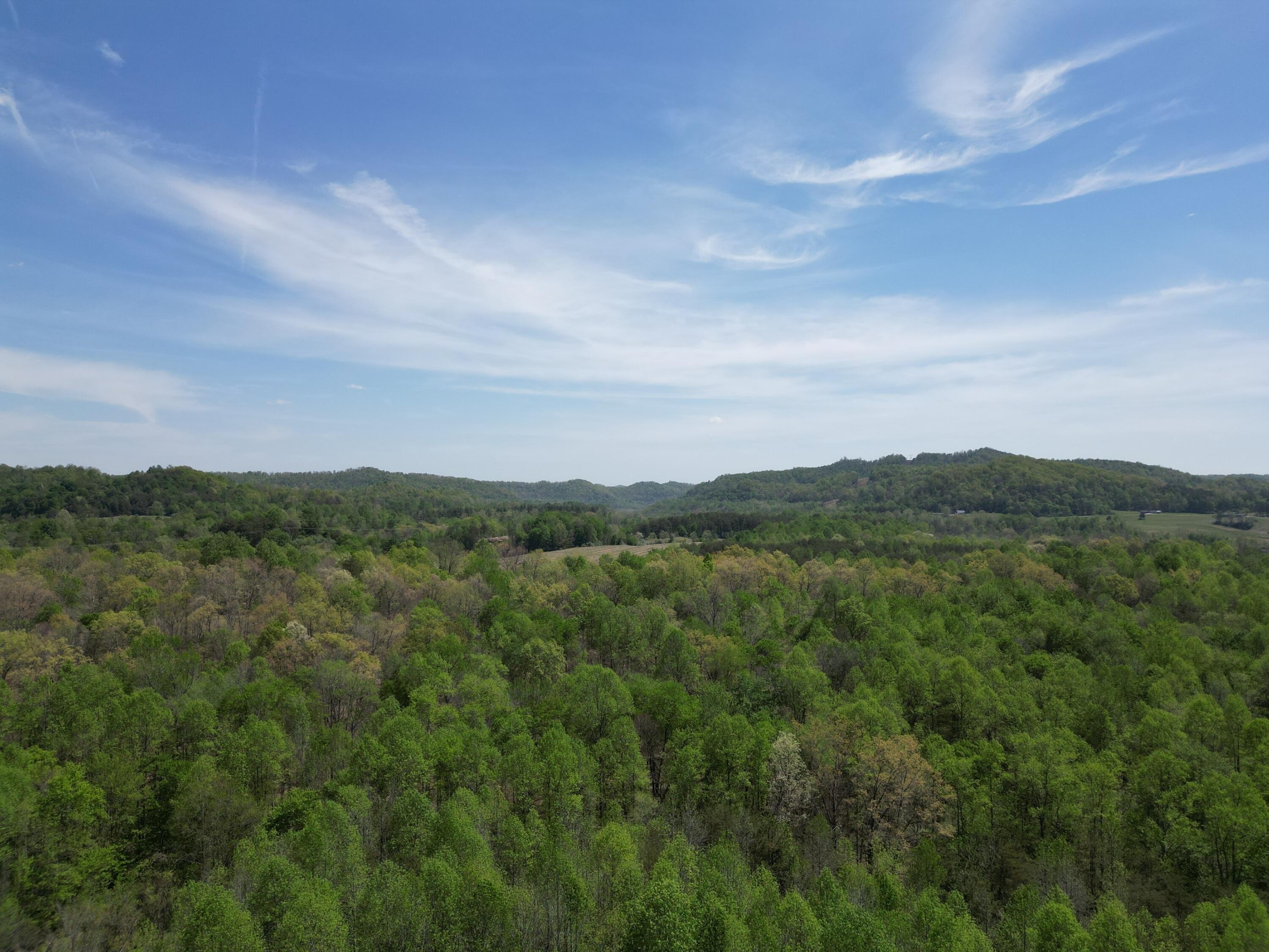 202 Acres of Land