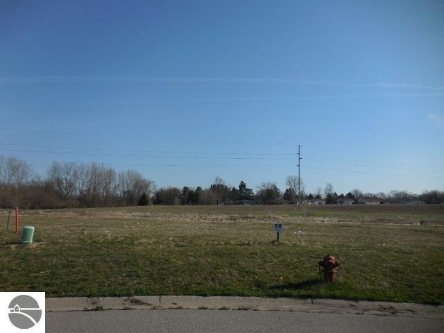 Picture 4