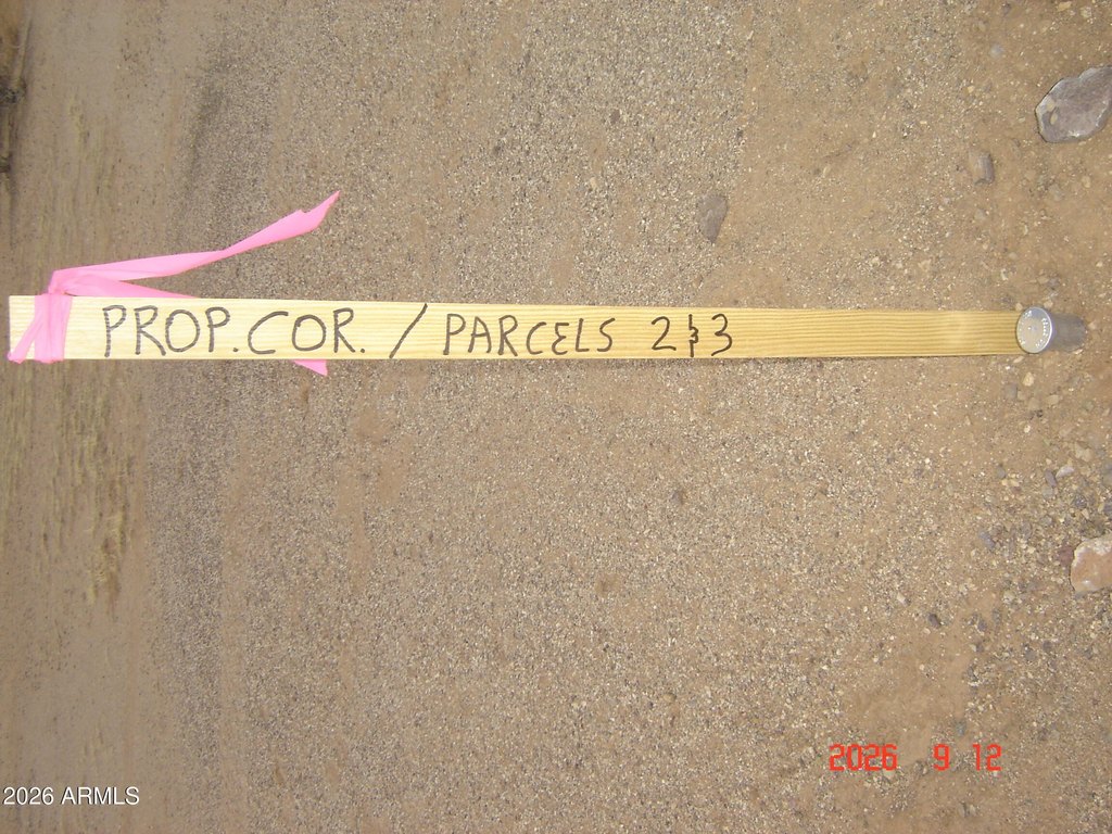 Picture 14