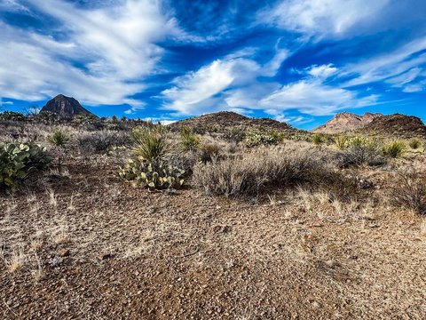 Terlingua Ranch Land For Sale