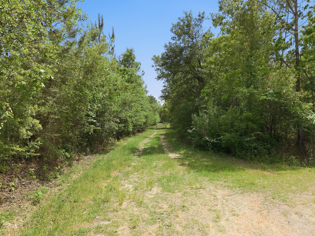 Picture 2