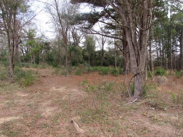 Land Near Loop 256