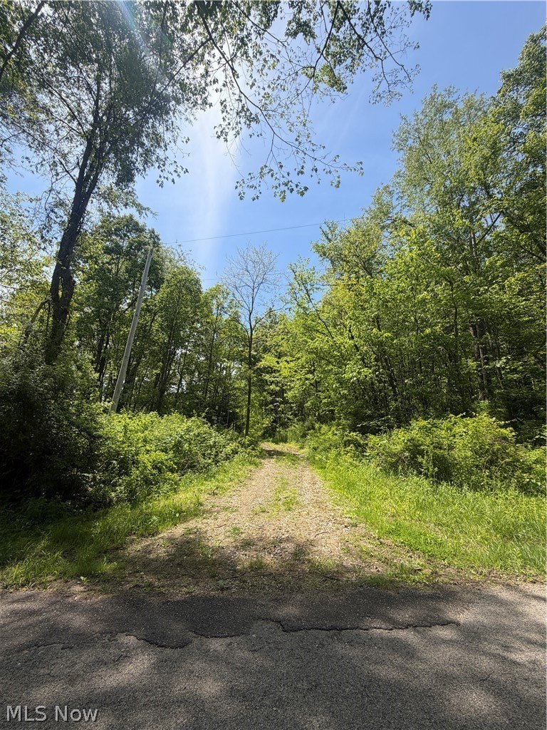 Wooded Lot For Sale