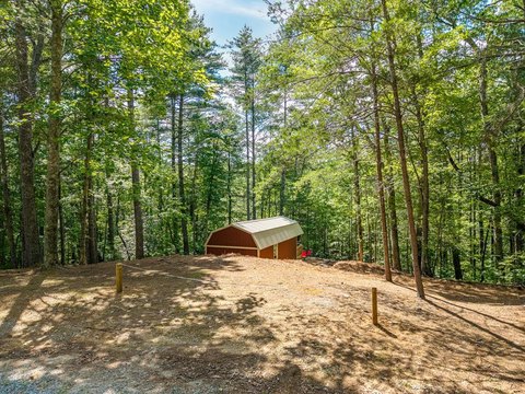 Vacant Lot - Ellijay, GA