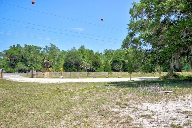Picture 9