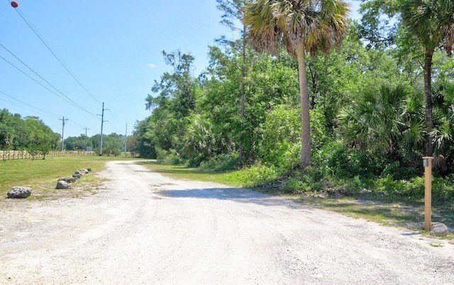 Picture 8