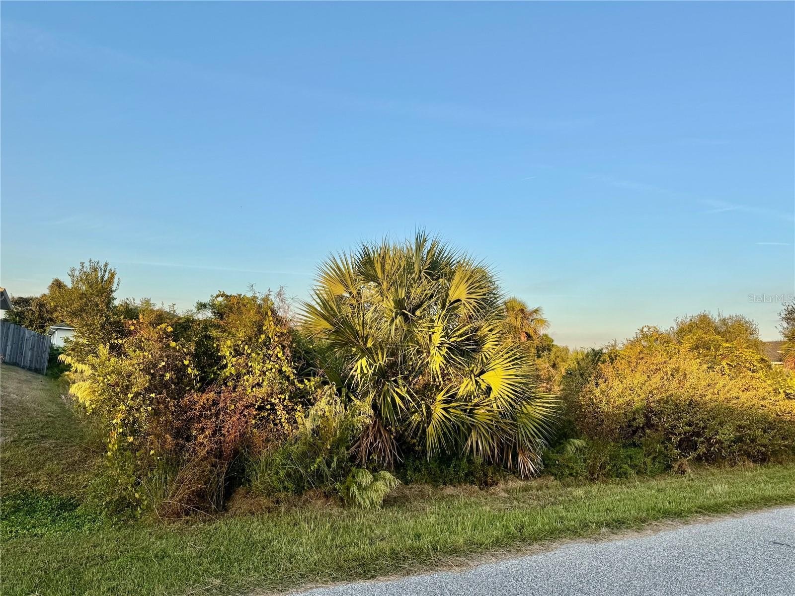 Spacious Lot in Growing Area