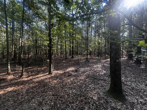 Wooded Recreation Land