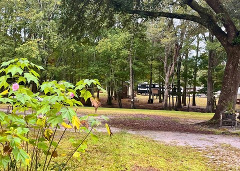 Cleared Lot Near Edisto River