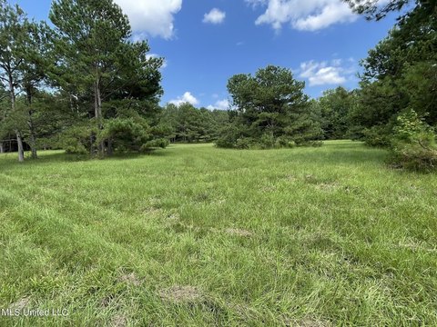 Neshoba County Land with Home