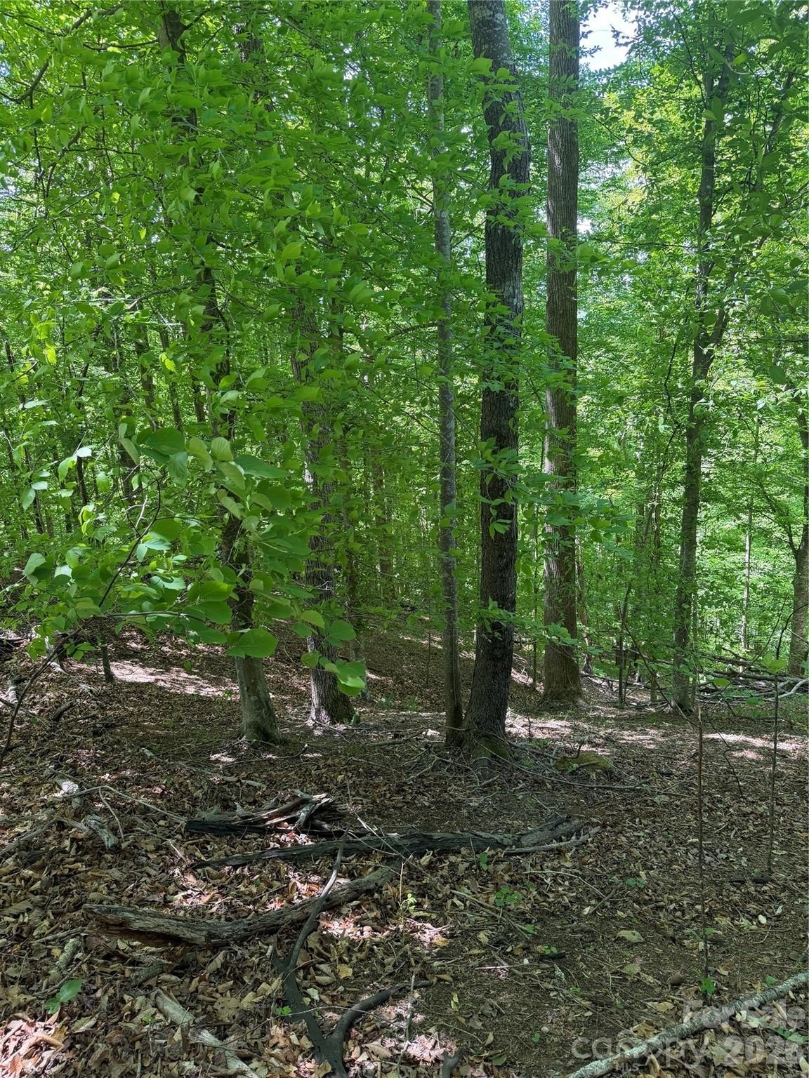 Rutherfordton Vacant Land Opportunity