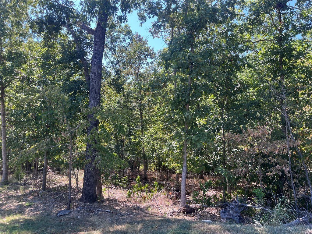 Picture 4