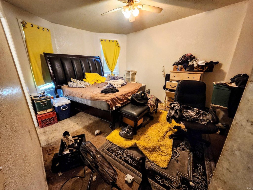 Picture 24