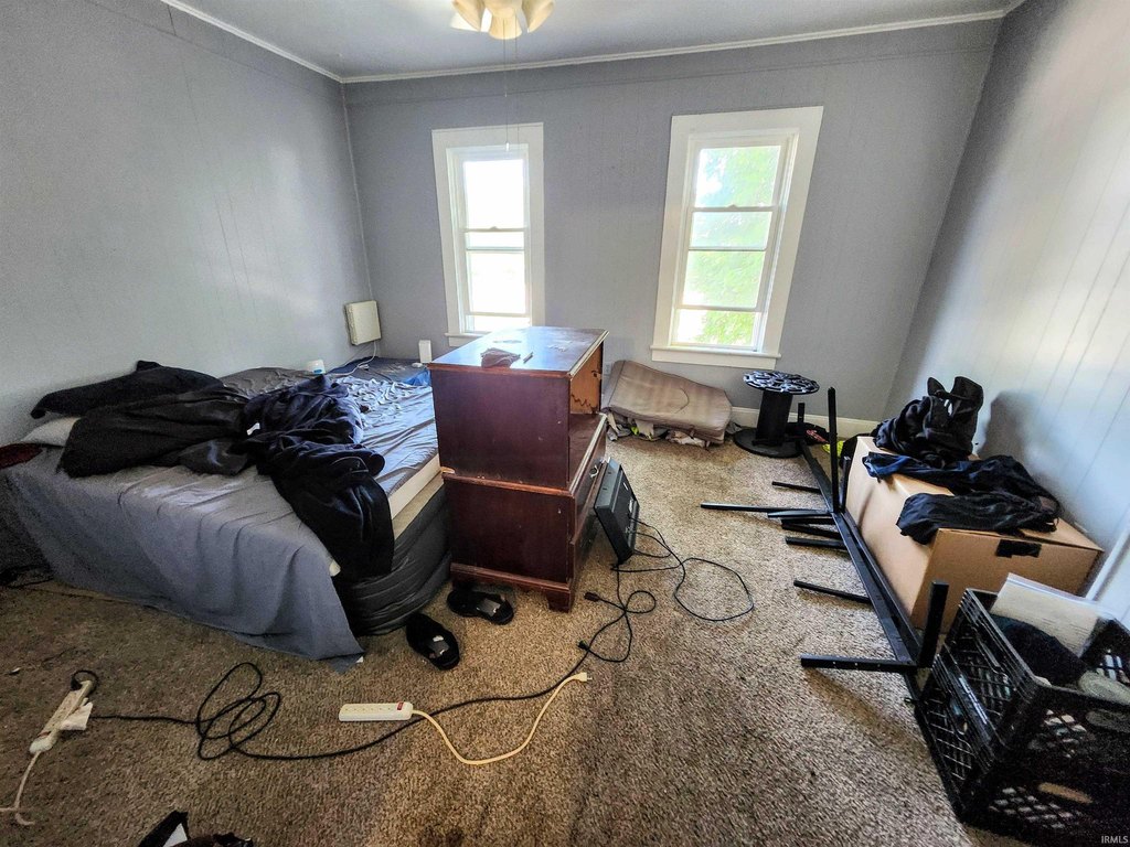 Picture 29