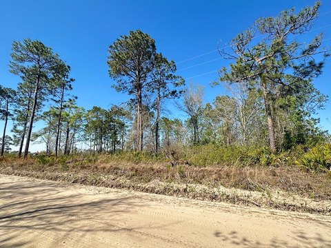 Residential Lot Near US Hwy