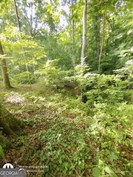 Residential Land in Nicholson, Georgia