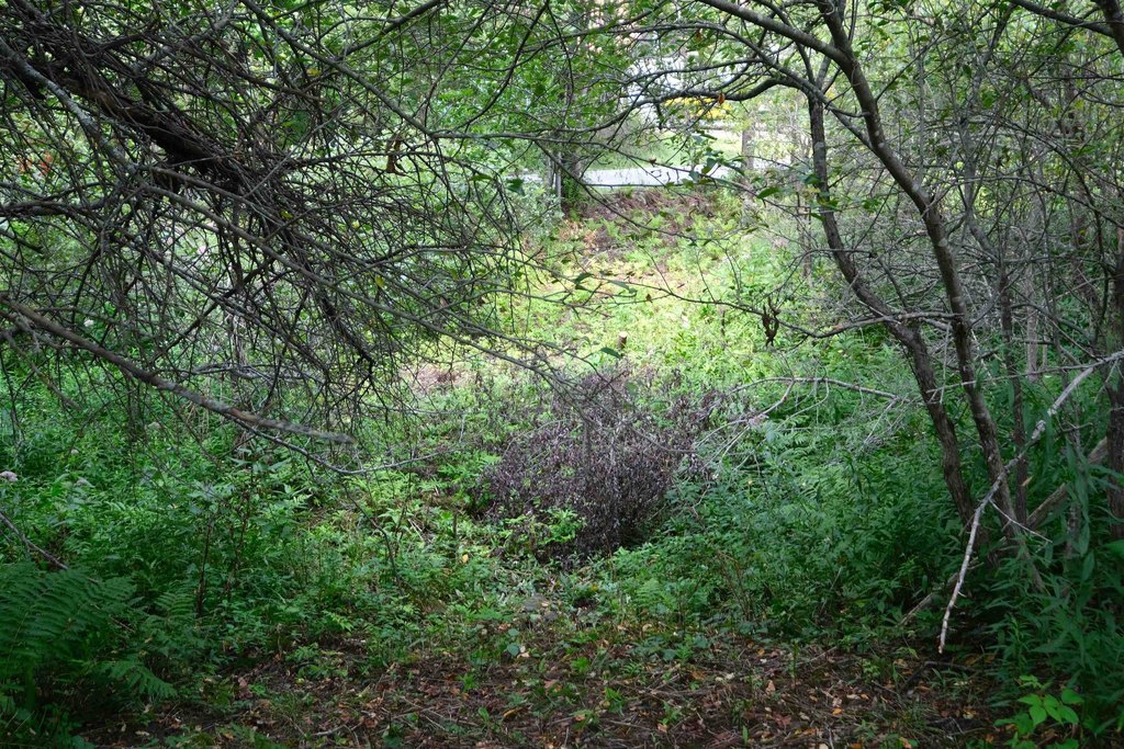 Picture 12