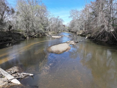 Riverfront Land in Pike County