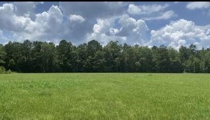 87 Acres Hunting Land