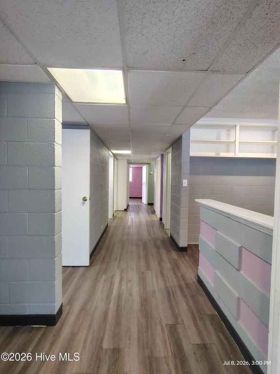 Picture 8
