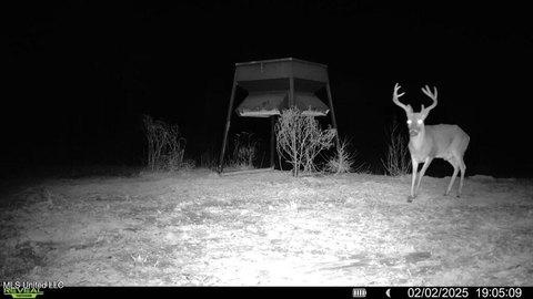 Catahoula Parish Land For Sale