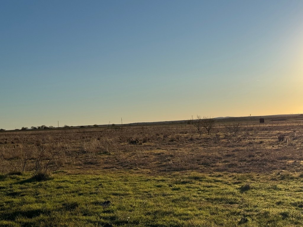 Picture 10