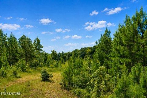 Lots & Acreage, Philadelphia, TN