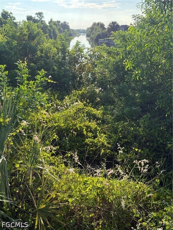 Picture 6