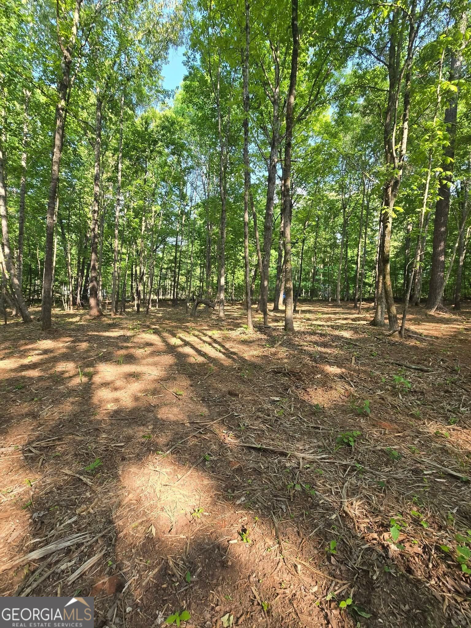 Land Near Lake Sinclair