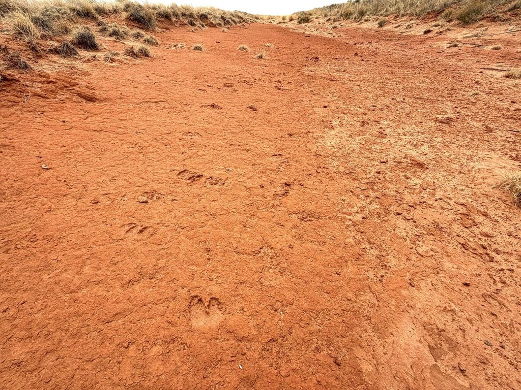 Picture 19