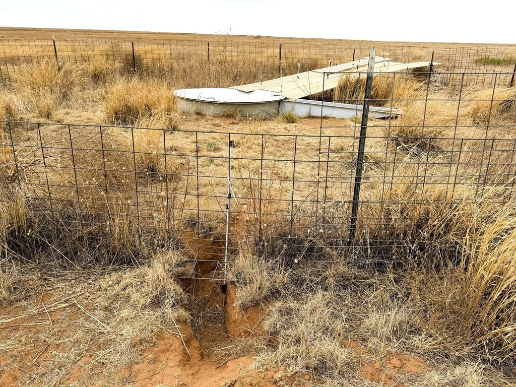 Picture 25