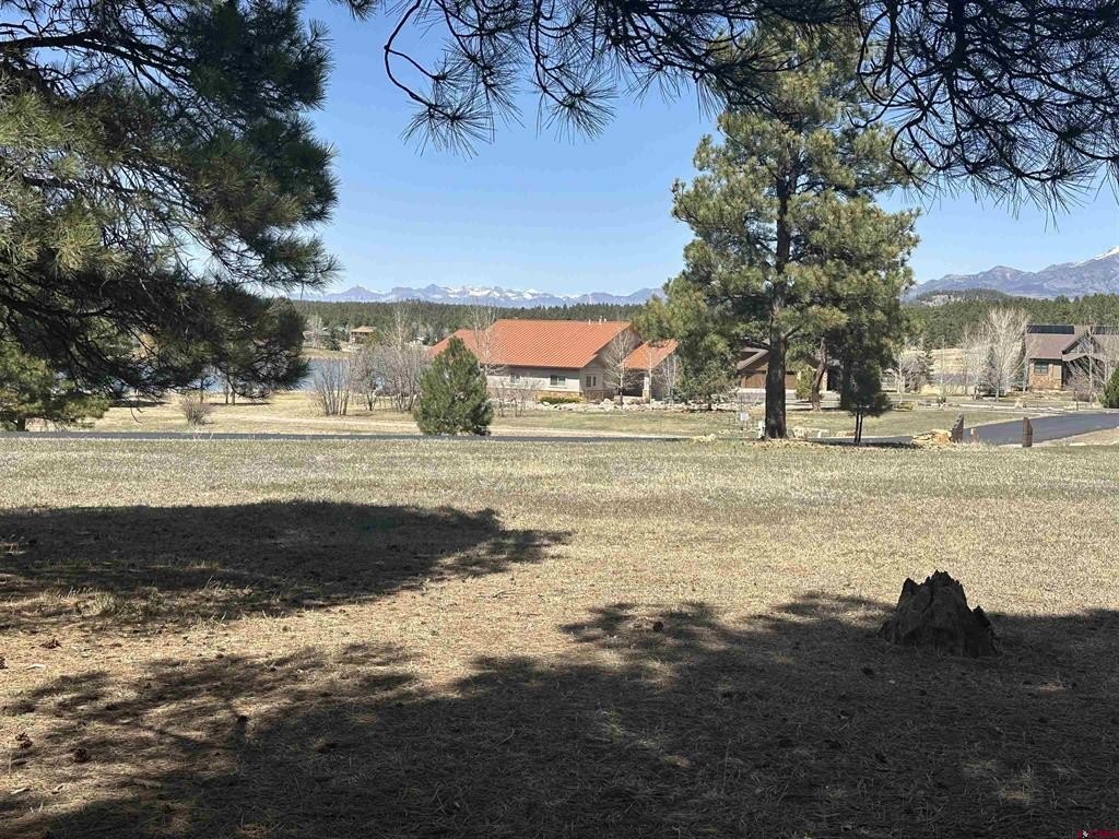 Picture 19