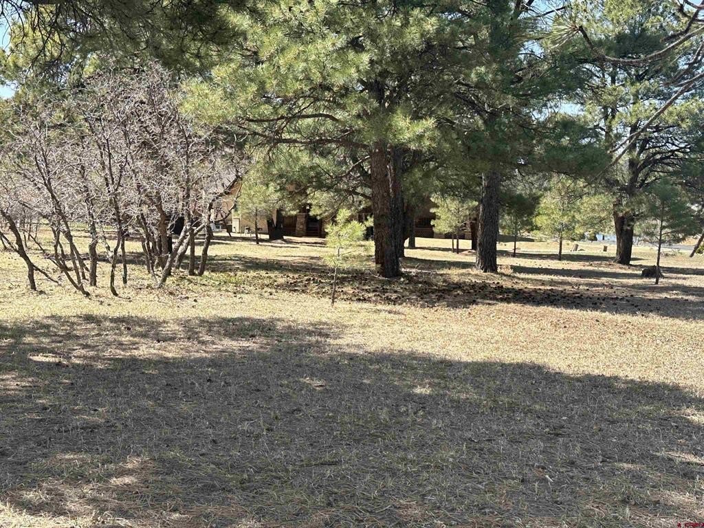 Picture 15