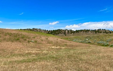 Kaycee, WY Vacant Land