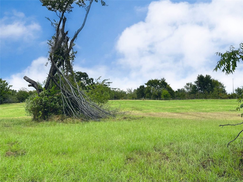 Picture 10