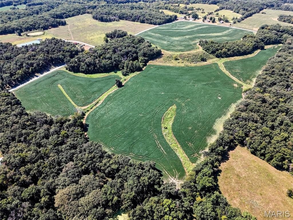 Marion County Income-Producing Hunting Farm