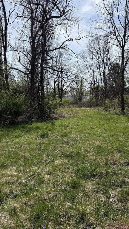 Picture 13