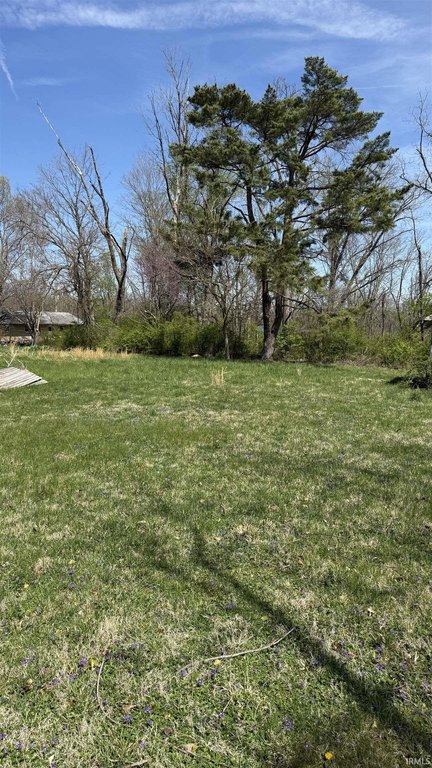Picture 8