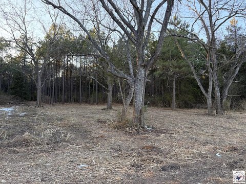Land, Hughes Springs, TX