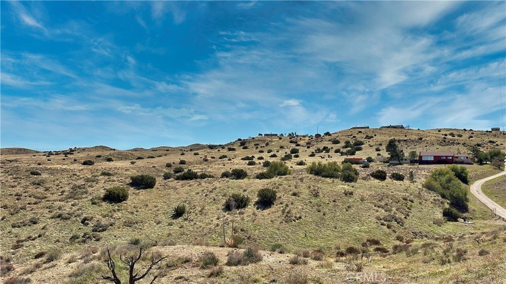 Picture 8