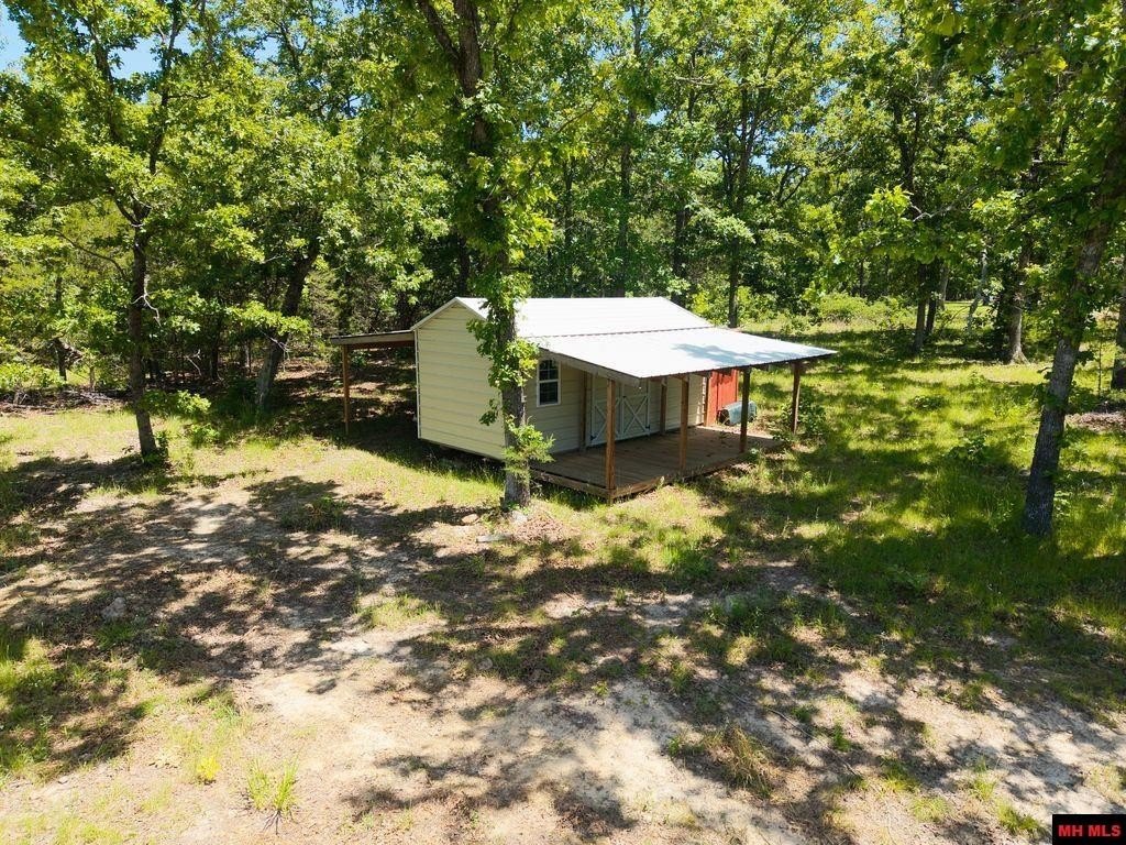 Picture 5