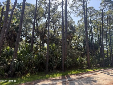 Land, Fripp Island, SC